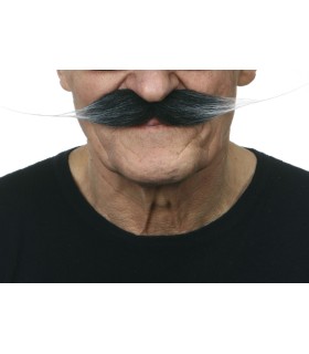 BIGOTE CANOSO