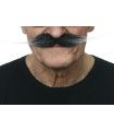 BIGOTE CANOSO