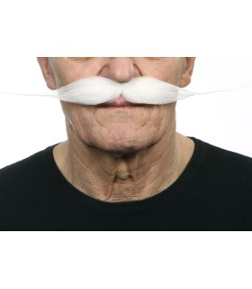 BIGOTE