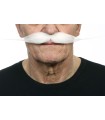 BIGOTE