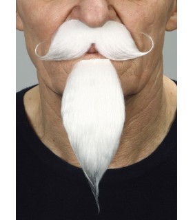 BIGOTE Y PERILLA
