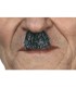 BIGOTE CHAPLIN CANOSO 00