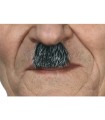 BIGOTE CHAPLIN CANOSO 00