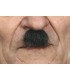 BIGOTE