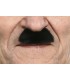 BIGOTE