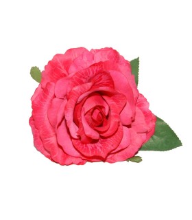 Rosa Maravilla