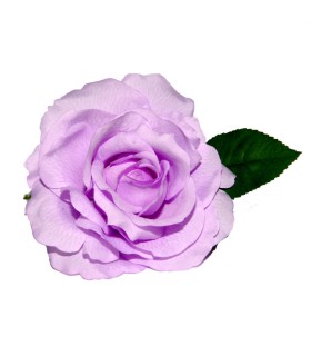 Rosa del Sur