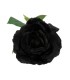 Rosa del Sur