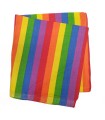 PAÑUELO ARCOIRIS