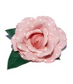ROSA DANZA LUNARES