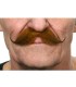 BIGOTE CASTAÑO ROJIZO