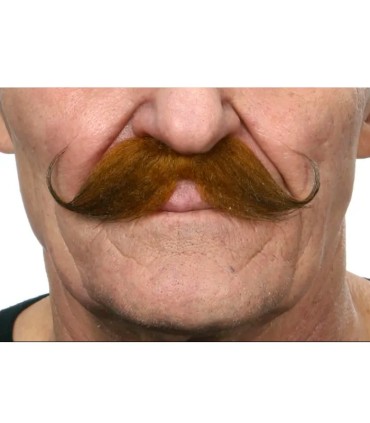 BIGOTE CASTAÑO ROJIZO