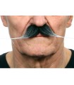 BIGOTE ALARGADO CANOSO