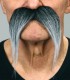BIGOTE POBLADO LARGO CANOSO