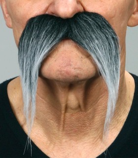 BIGOTE POBLADO LARGO CANOSO
