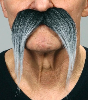 BIGOTE POBLADO LARGO CANOSO