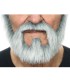 BARBA Y BIGOTE CANOSOS