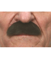 BIGOTE POBLADO NEGRO