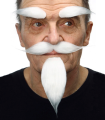 CEJAS, BIGOTE Y PERILLA - SET BLANCO