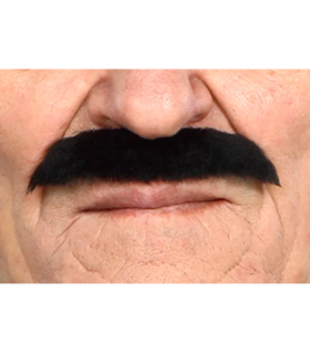 BIGOTE NEGRO