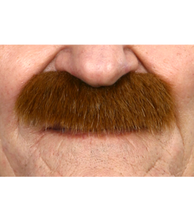 BIGOTE POBLADO CASTAÑO