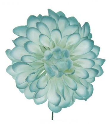 FLOR DALIA AMARTE