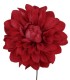 FLOR DALIA AMARTE
