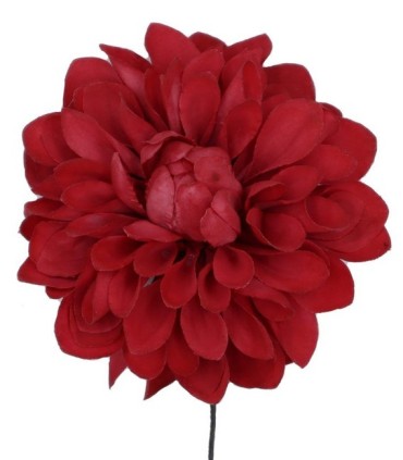 FLOR DALIA AMARTE