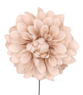 FLOR DALIA AMARTE