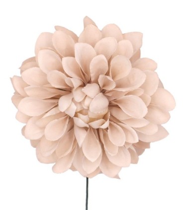 FLOR DALIA AMARTE