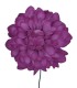 FLOR DALIA AMARTE