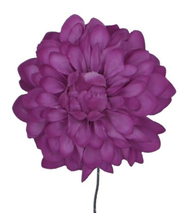 FLOR DALIA AMARTE