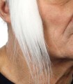 PATILLAS