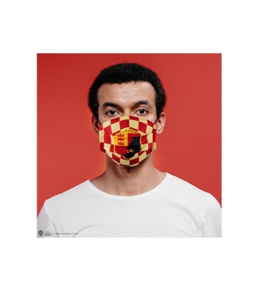 MASCARILLA GRYFFINDOR REUTILIZABLE - HARRY POTTER