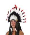 PLUMAS INDIOS