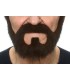 BIGOTE CON PERILLA NEGRO AD