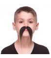 BIGOTE INF