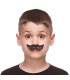 BIGOTE INF