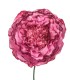 FLOR AVEIRO