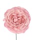 FLOR FARO
