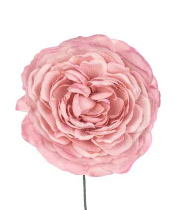 FLOR FARO
