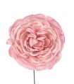 FLOR FARO