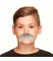 BIGOTE INF