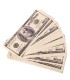 DINERO FALSO 20X7.5X1CM
