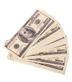 DINERO FALSO 20X7.5X1CM
