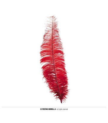 PLUMA AVESTRUZ