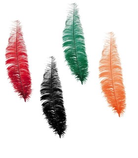 PLUMA AVESTRUZ