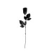 ROSA NEGRA 44CM
