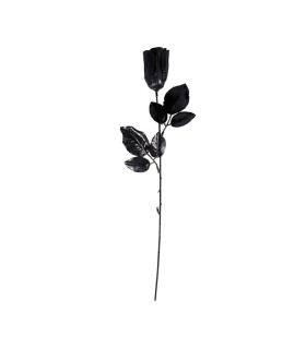 ROSA NEGRA 44CM