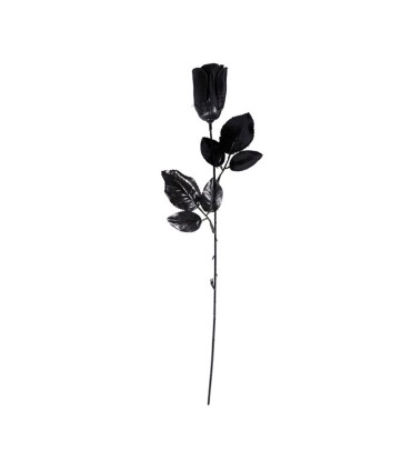 ROSA NEGRA 44CM